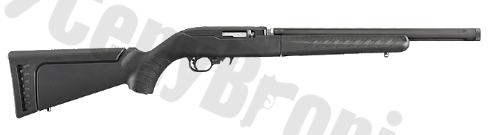 Ruger 10-22 Takedown (21133)